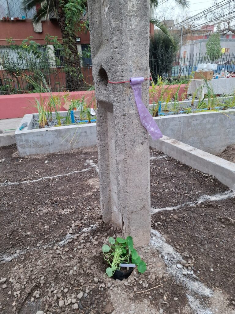 WhatsApp Image 2025-07-28 at 16.44.10 (3)