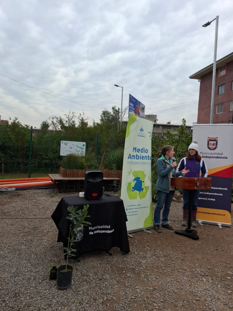 WhatsApp Image 2025-07-28 at 16.44.10 (4)